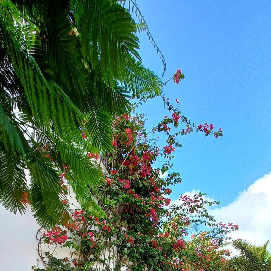 Casa Betti Villa Jericoacoara Eksteriør billede