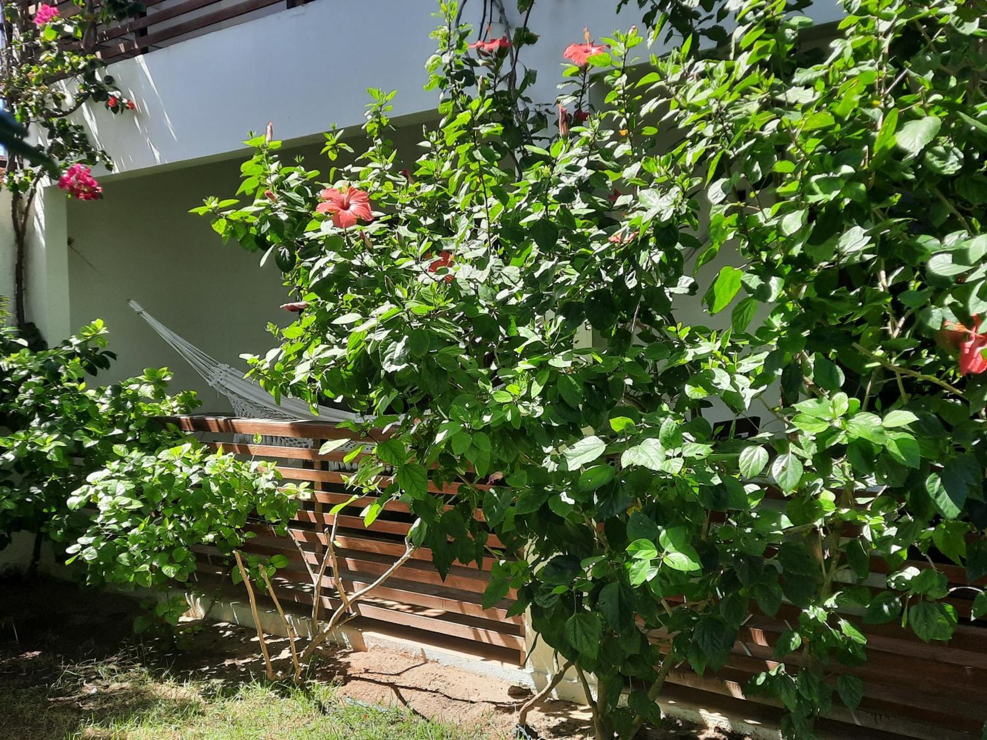 Casa Betti Villa Jericoacoara Eksteriør billede